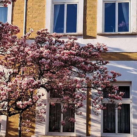 Ferienwohnung Rosi Νάουμπουργκ Εξωτερικό φωτογραφία